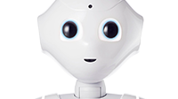 Pepper